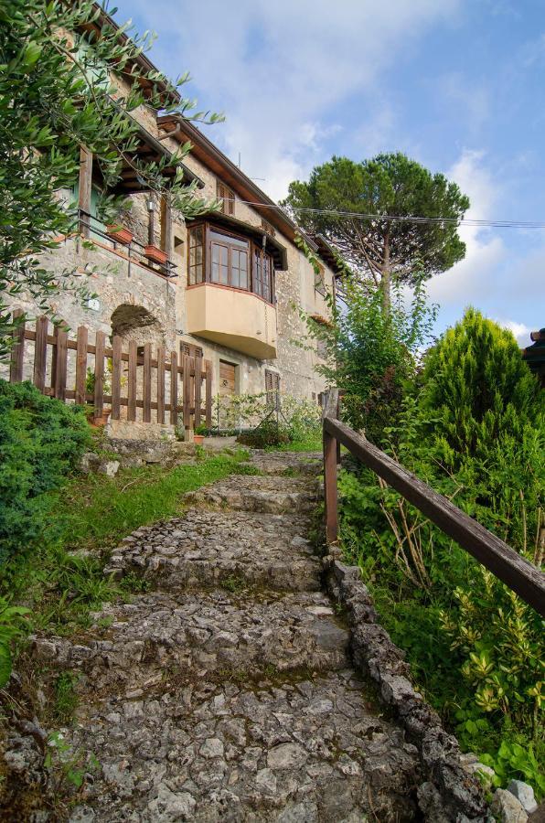 Villa Casa Gelsomino Camaiore Exterior foto